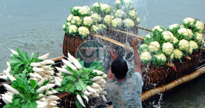 শীতের সতেজ সবজির সুন্দর সমারোহে