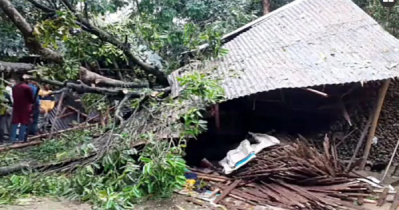 সুনাগঞ্জে ঝড় ও বজ্রপাতে ৫ জনের মৃত্যু 