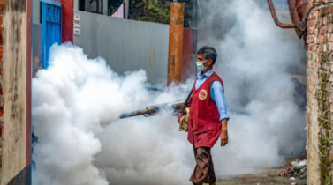 মশা মারতে ১২২ কোটি টাকা খরচ করবে ডিএনসিসি