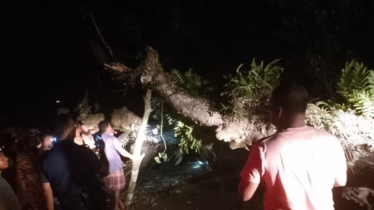 কাভার্ডভ্যানের ধাক্কায় গাছ ভেঙে ২ বাসযাত্রী নিহত