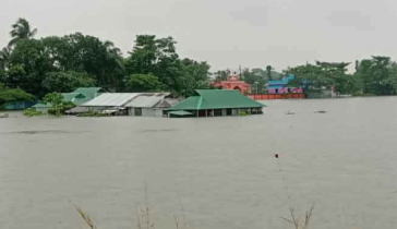 সিলেটে হু হু করে বাড়ছে নদীর পানি